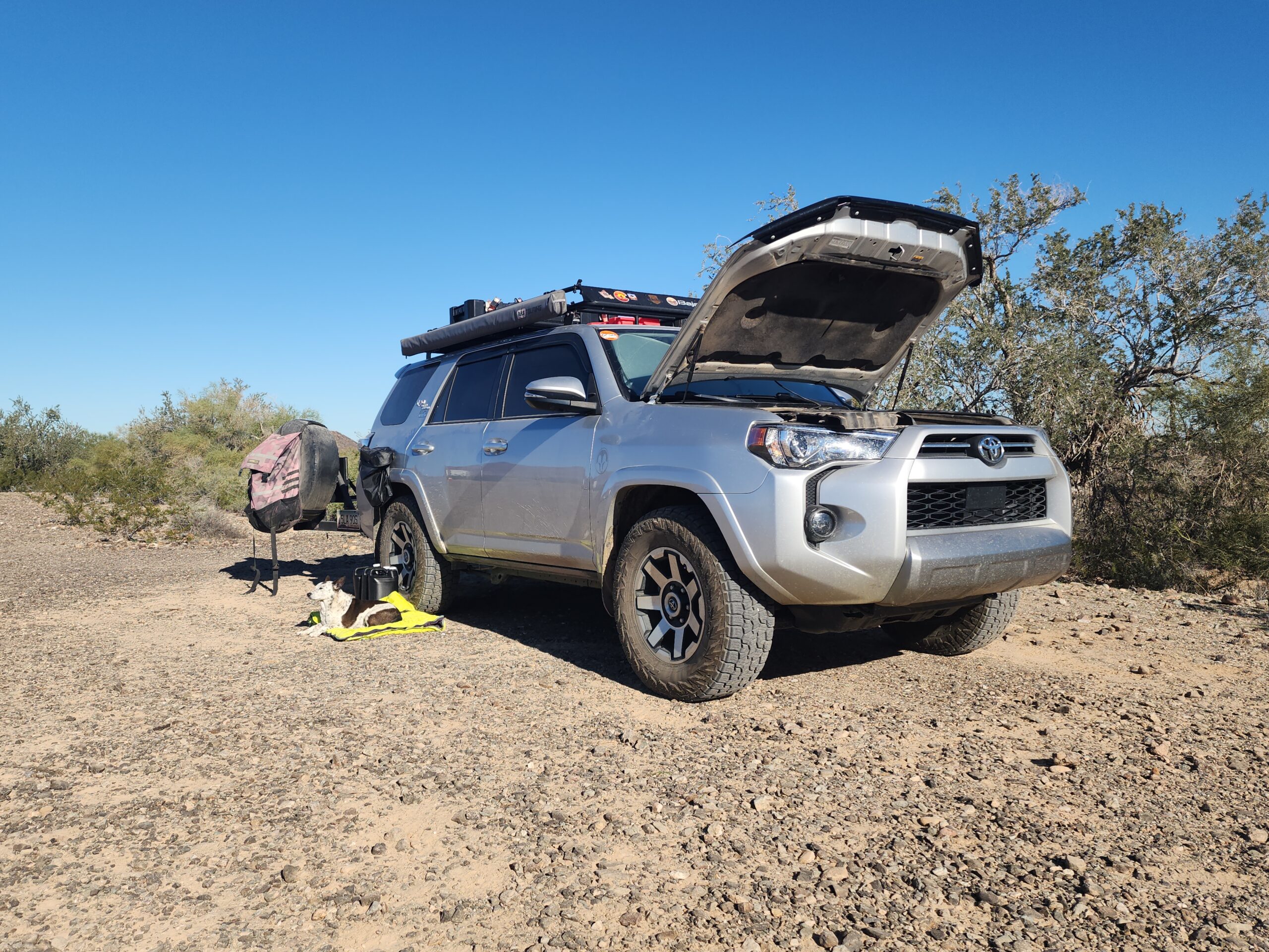 Do You Have the Right Roadside Assistance?