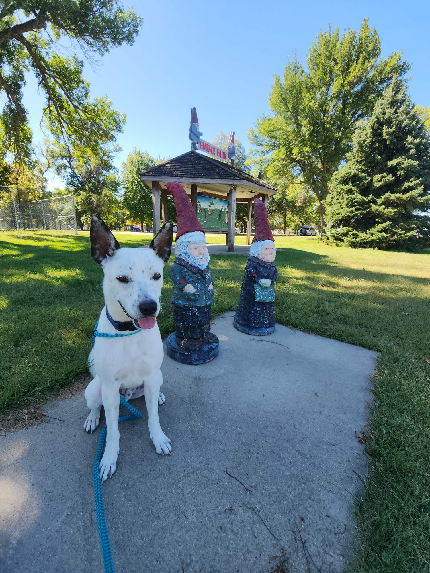 Dawson’s Gnome Park: The Heart Behind Every Hat