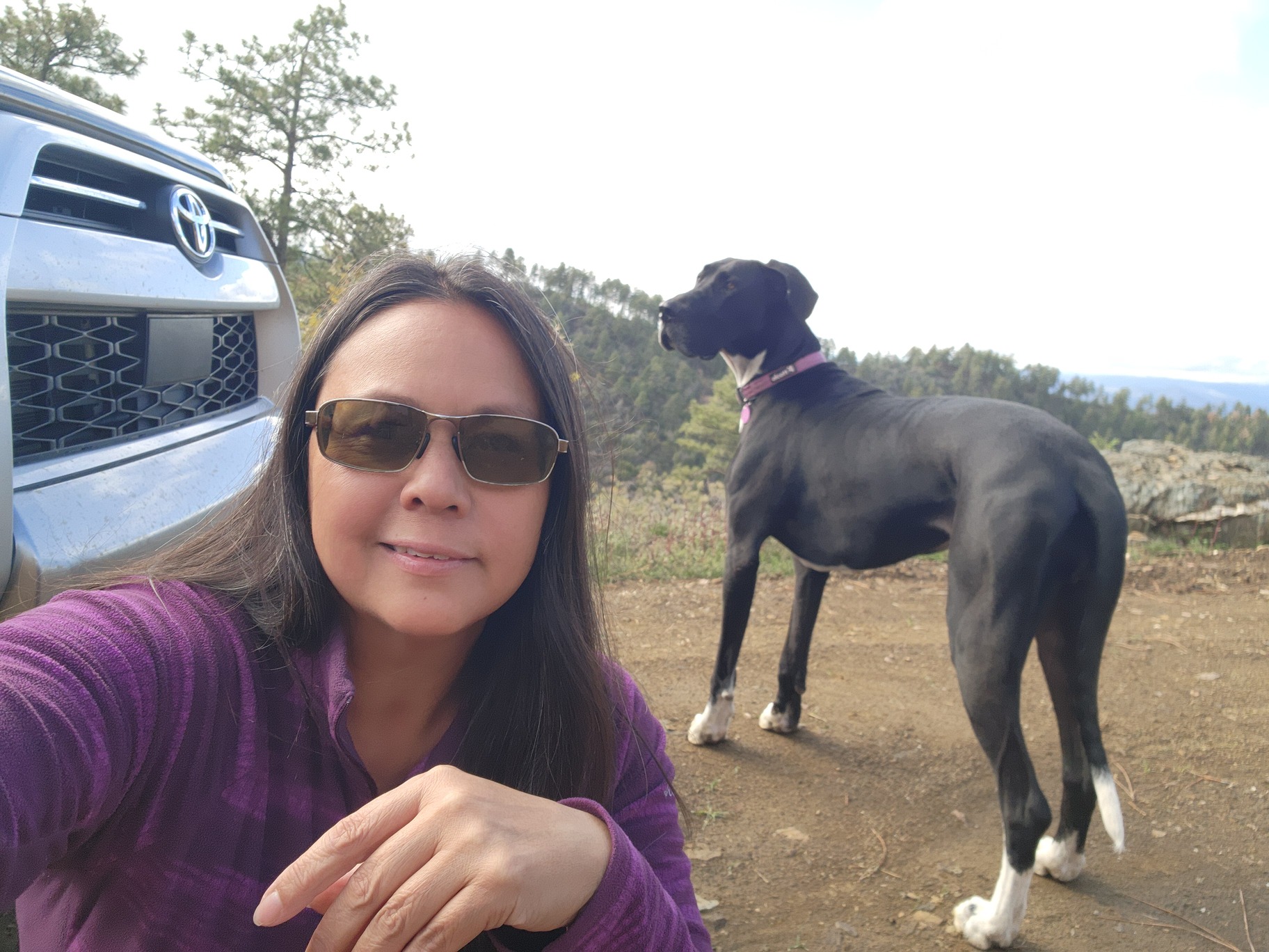 Pet Sitting While Traveling: Paid Work and Free Stays