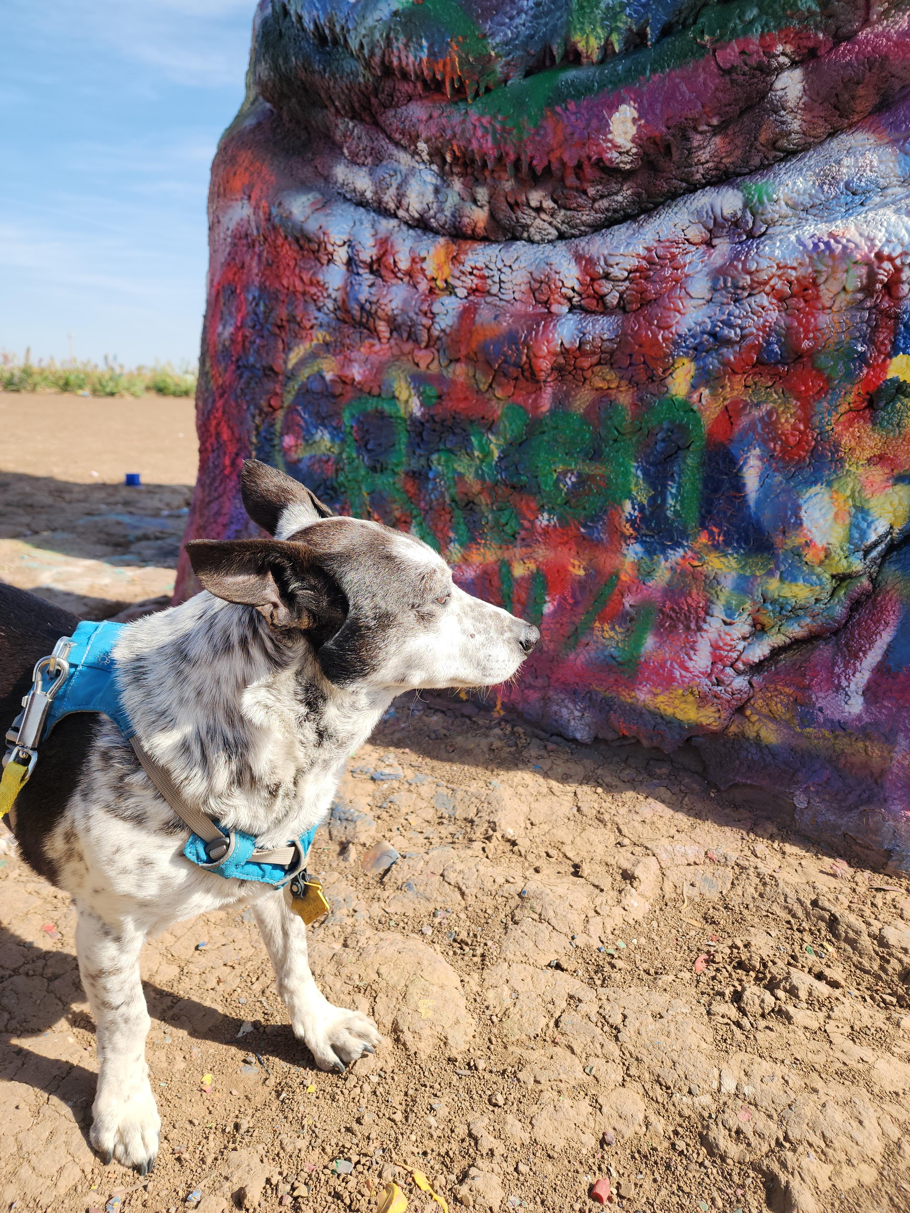 Colorful Texas Adventure With Riven at Cadillac Ranch