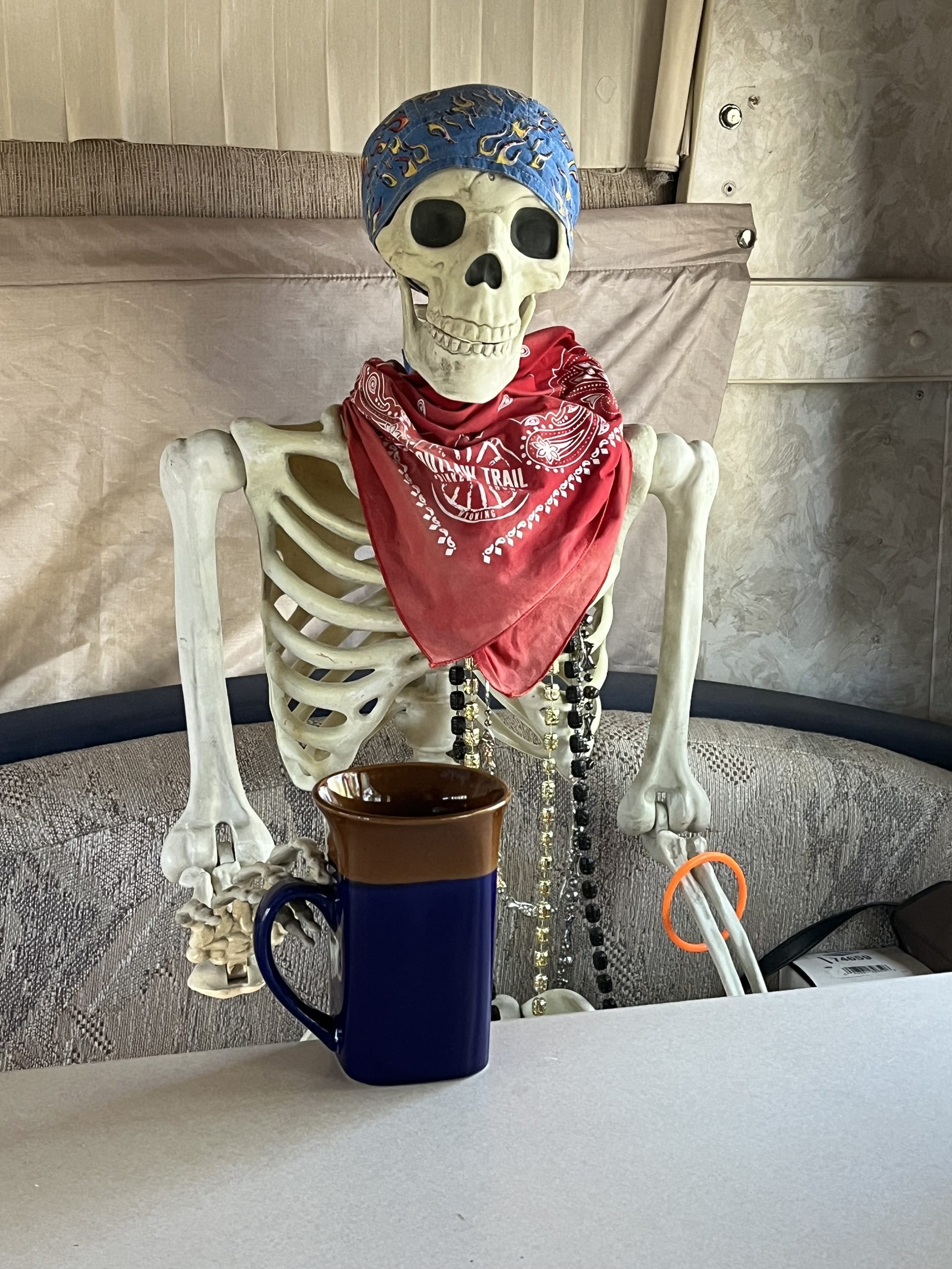 Roy Made It Back. The Story Got Weird.